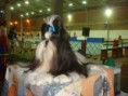 /album/imperador/imperador-5-jpg/
